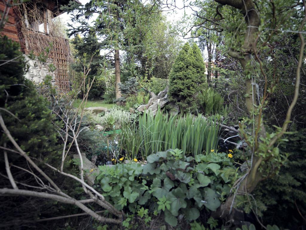 Pod Strzecha Bialka Tatrzanska Exterior foto